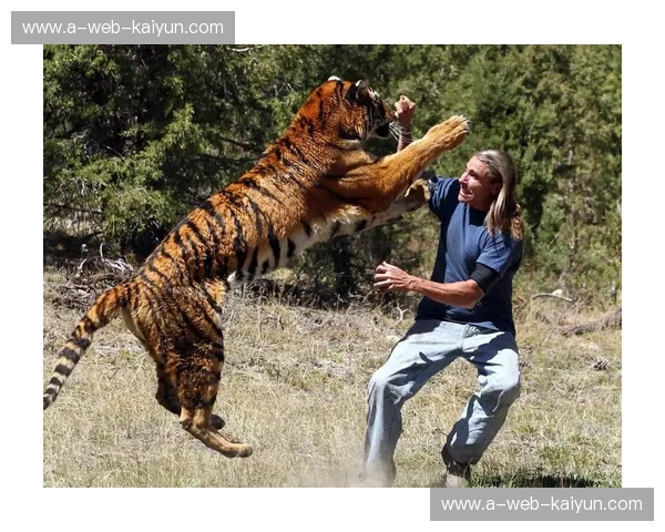 【巅峰异视界】当“力拔山兮”撞上“钢铁重拳”：项羽vs泰森，谁才是人类暴力的终极天花板？